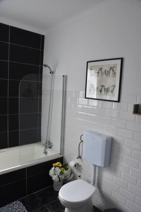 Casa Da Torre Apartment Ribeira Grande